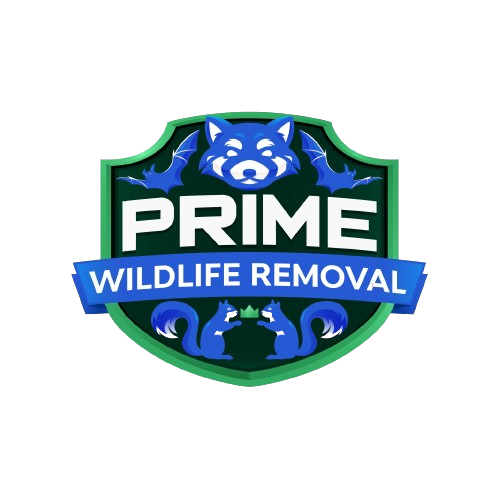 Wildlife Removal Egelston